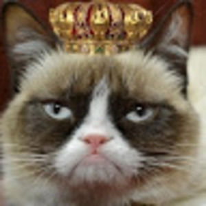 Meet your Posher, Deesha